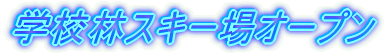 wZуXL[I[v